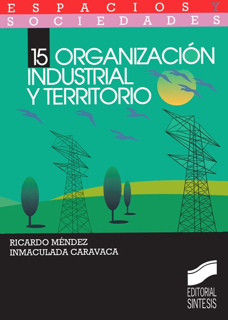 Portada del título organización industrial y territorio